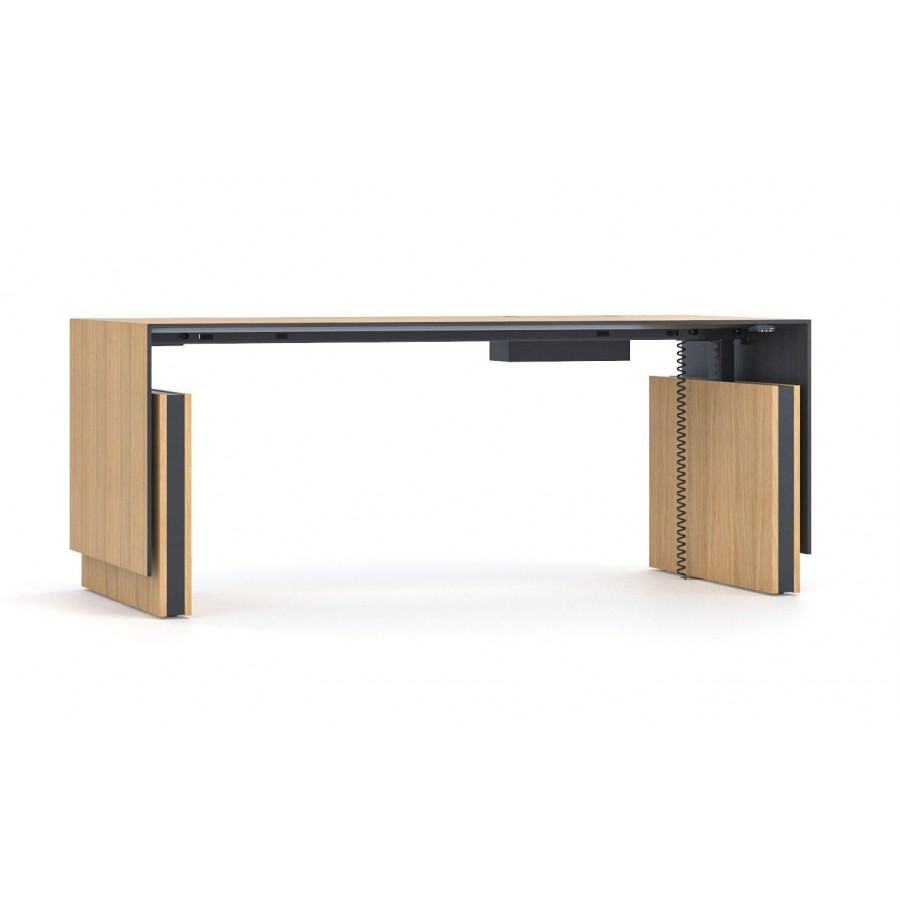 Motion Executive Desk